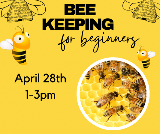 Bee Keeping for Beginners